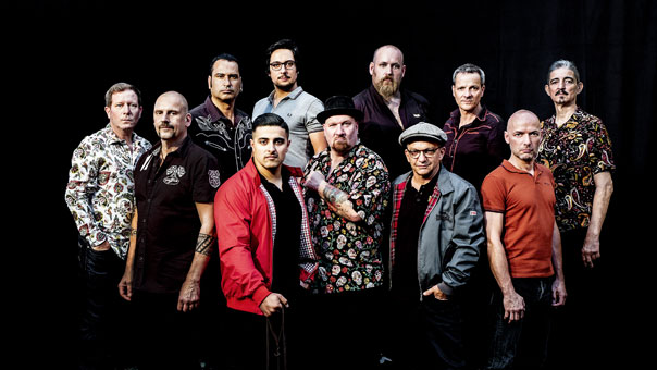 01.02.2020 THE BUSTERS